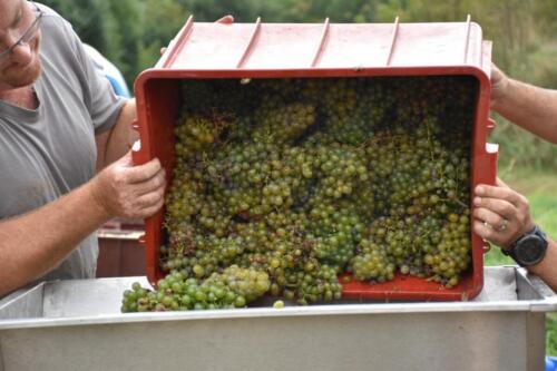 ... a už se to sype... do mlýnku..