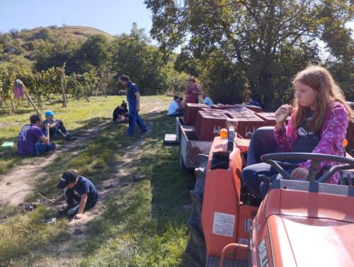 Sběr v trati Daniel, pohoda při pauze